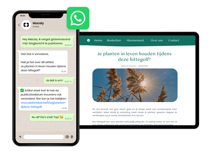 Update je project rechtstreeks vanuit WhatsApp